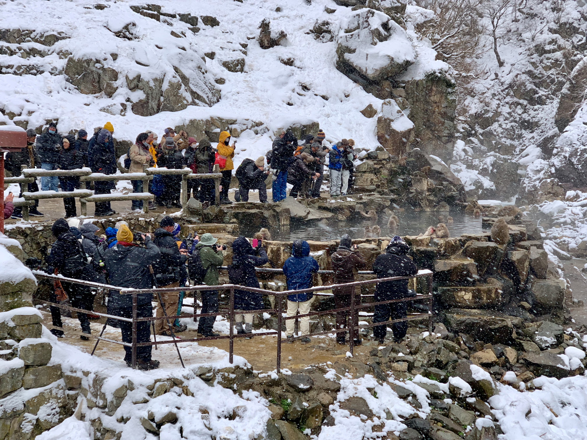 Snow Monkey Park hot spring 